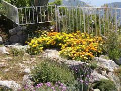 001 ITALIE CAPRI_000026